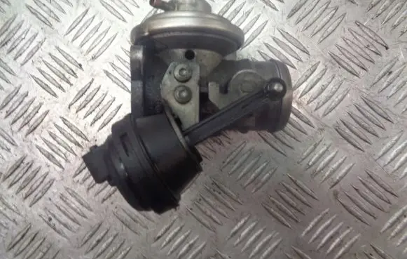 Seat Ibiza III (6L) EGR valve 038129637