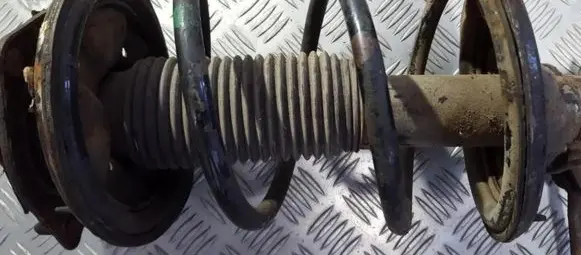Front coil spring
