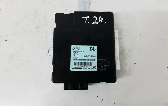 KIA Sorento Other control units/modules 954003E310
