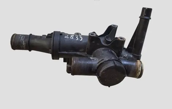 Citroen C5 Thermostat/thermostat housing 9656182980