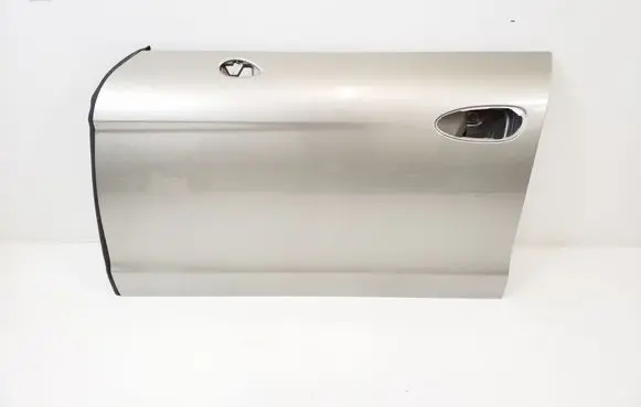 Porsche Panamera (970) Front door 97053101100