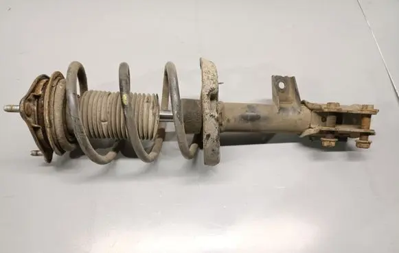 Hyundai i30 Front shock absorber/damper 546502R750 546512R450 546301H545