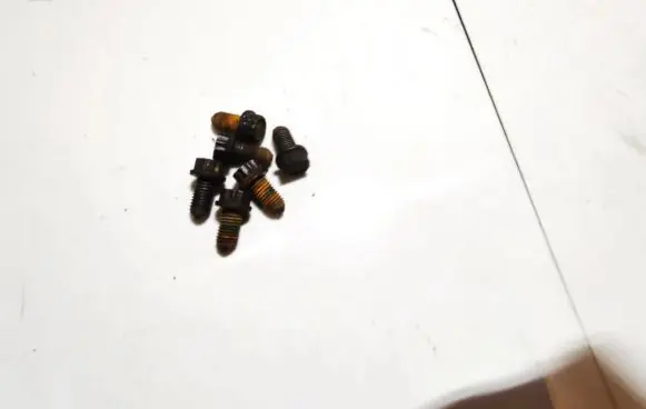 Nuts/bolts