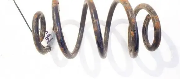 Rear coil spring
