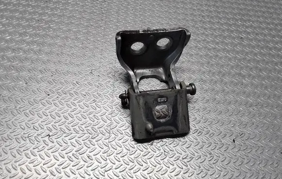 Citroen C4 Grand Picasso Front door lower hinge 