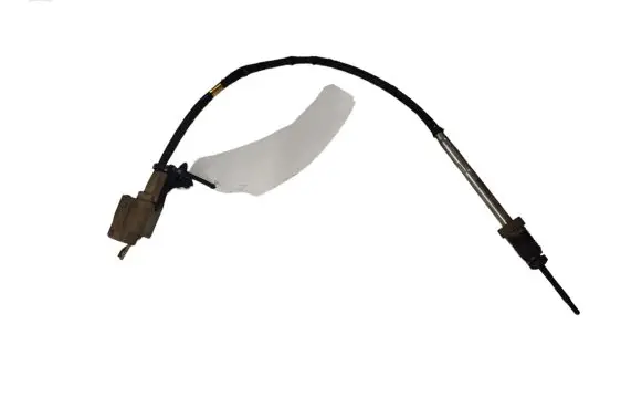 Nissan Qashqai Exhaust gas temperature sensor RN1341CWE