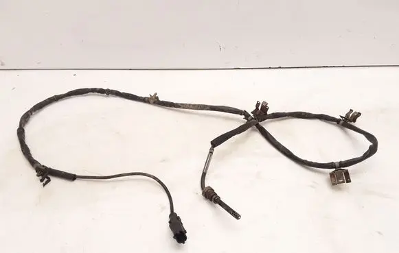 Opel Zafira B Exhaust gas temperature sensor 55558578