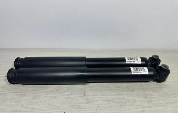 Opel Grandland X Rear shock absorber/damper 9848888780