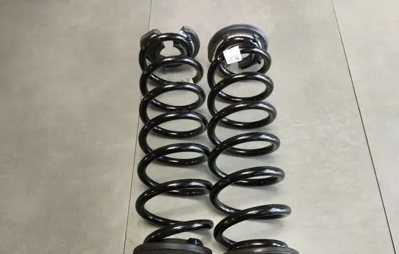 Rear coil spring