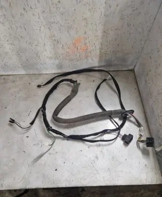 Rear door wiring loom