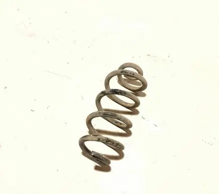 Renault Koleos II Rear coil spring