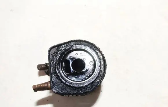 Peugeot Expert Engine oil radiator 