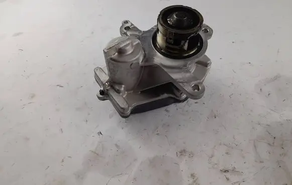 Volkswagen Golf VIII EGR valve 05L131501NV