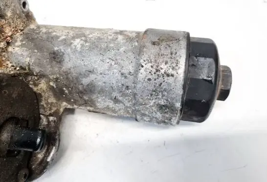 Skoda Superb B5 (3U) Oil filter cover 059115405G