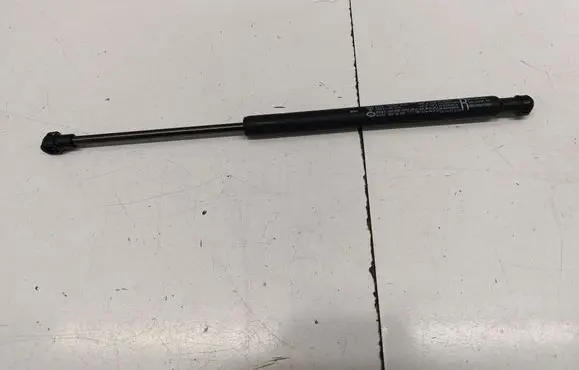 Front bonnet/hood damper/strut