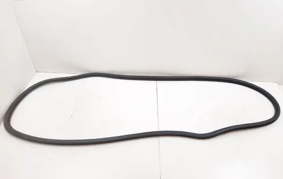 Cadillac Escalade IV Front door rubber seal 