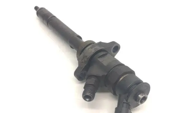 Citroen C5 Fuel injector 0445110297