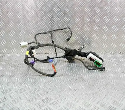 Dodge RAM 1500 DS Front door wiring loom 16238CO 71844232