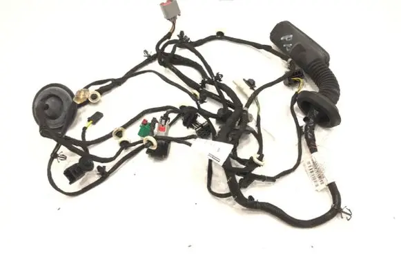 Front door wiring loom