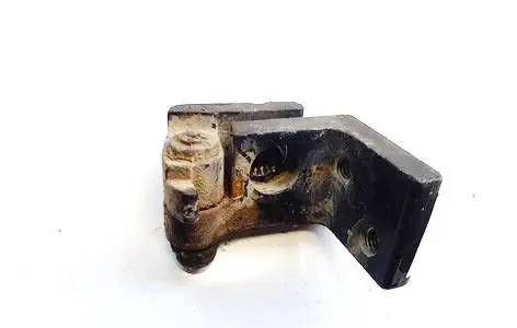 Rear door lower hinge