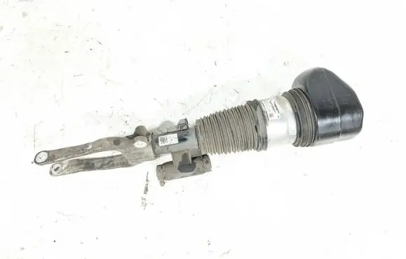 BMW 7 G11 G12 Air suspension front shock absorber 13981113 7868775 6851200