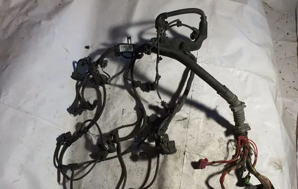 Engine installation wiring loom