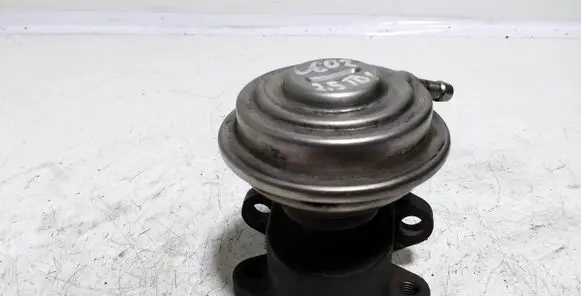EGR valve