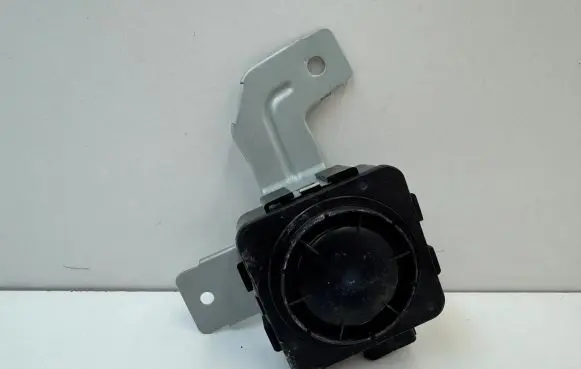 Hyundai Ioniq 5 Alarm system siren 95870GI000