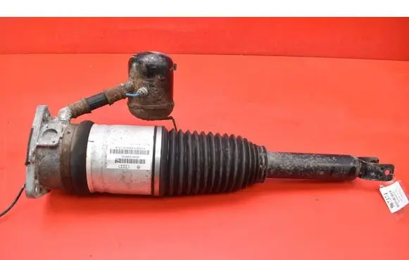 Audi A8 S8 D3 4E Rear shock absorber/damper 4E0616002G