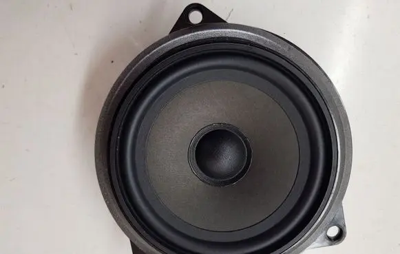 BMW X1 E84 Rear door speaker 6513914323201