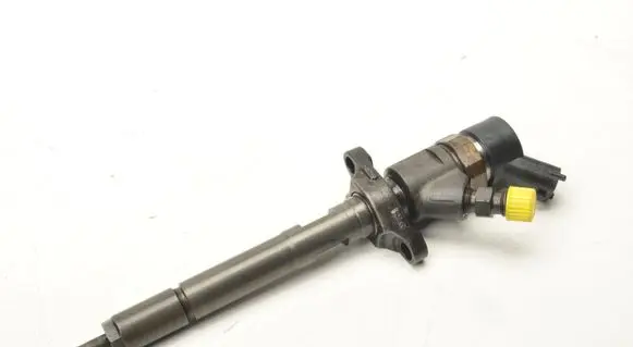 Citroen C4 I Fuel injector 0445110259