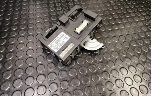 Nissan Leaf I (ZE0) Comfort/convenience module 284B13NE0C 116RAI000258 116RI000259