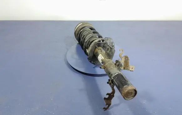 Rear shock absorber/damper