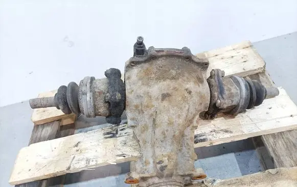 Toyota RAV 4 (XA20) Rear differential 