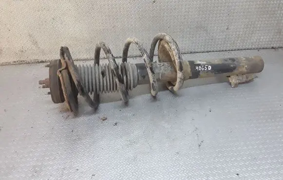 Front shock absorber with coil spring