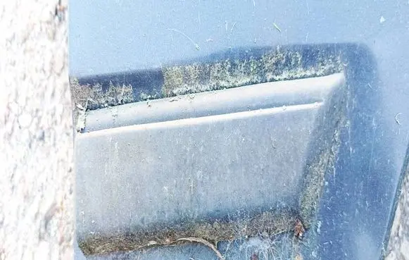 Peugeot 405 Fender trim (molding)