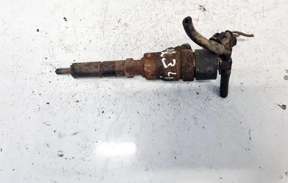 Peugeot Boxer Fuel injector 0445110076 9641742880