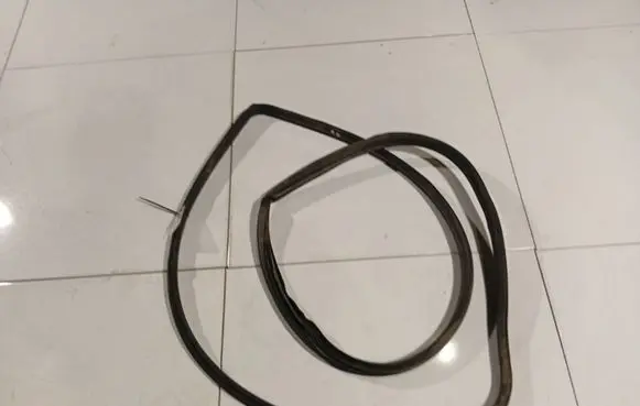 Honda Civic Rubber seal front coupe door