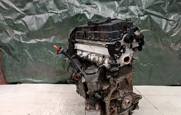 Volkswagen PASSAT B6 Engine BKP