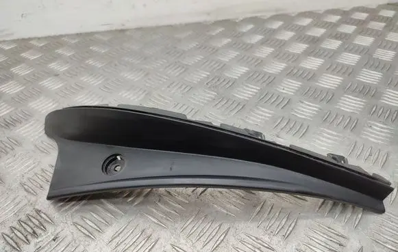 Rear/tail light trim molding