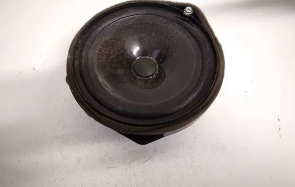 Front door speaker