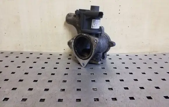 Volkswagen Crafter EGR valve 076131501B 700823040