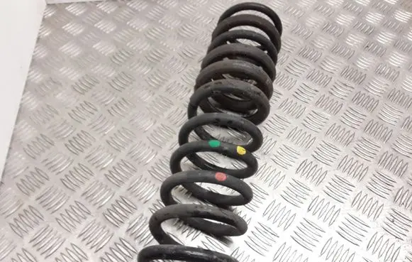 Ford Focus Rear coil spring