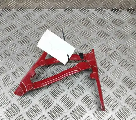 Tailgate/trunk/boot hinge