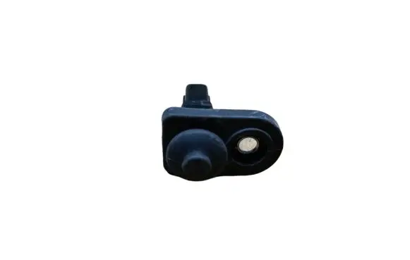 Hyundai Santa Fe Rear door sensor 