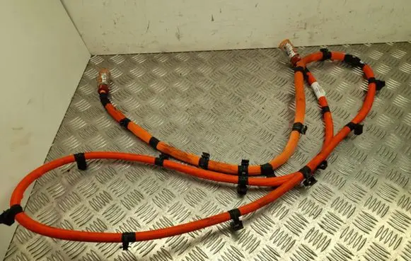 Mercedes-Benz EQE v295 Other wiring loom A2955402803