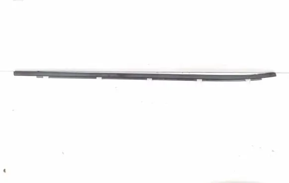 Honda Civic IX Front door glass trim molding