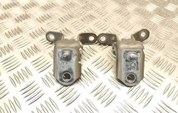 Ford Fiesta Rear door hinge set 