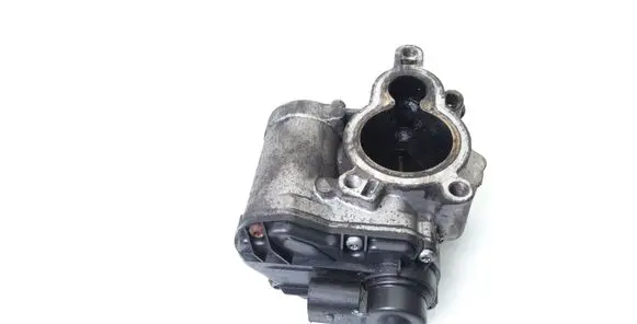 Renault Trafic II (X83) EGR valve 8200693739 H8200327011