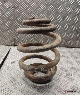 Rear coil spring